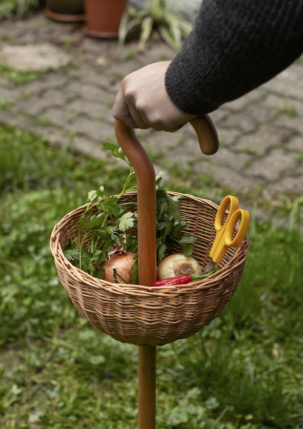 Bastoni da passeggio bellissimi